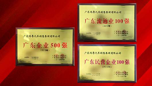 喜讯！海口邹洪进口商品贸易有限公司上榜广东企业500强等三大榜单(图2)